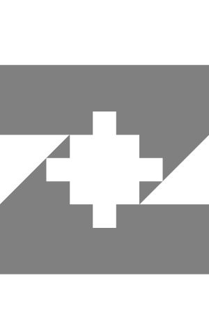 Z Plus Construction